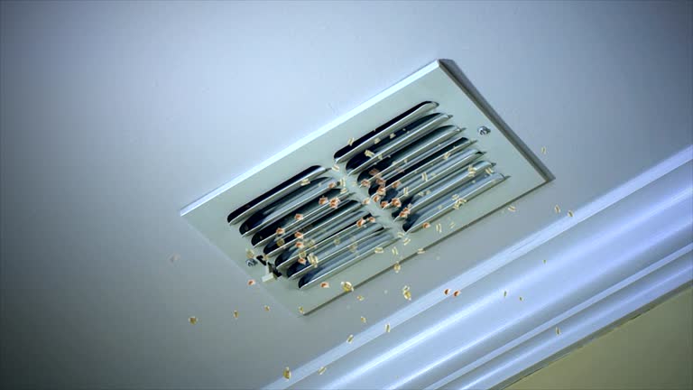 Best Affordable Duct Cleaning Services  in Omaha, NE